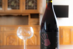 BZ-20210522-fewolay.de-cAMHau-0153cMartin-Hau