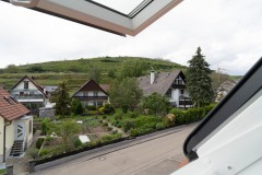 BZ-20210522-fewolay.de-cAMHau-0182cMartin-Hau