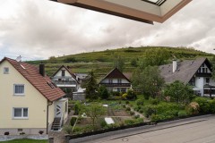 BZ-20210522-fewolay.de-cAMHau-0183cMartin-Hau