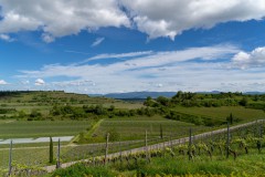 BZ-20210522-fewolay.de-cAMHau-0273cMartin-Hau