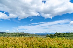 BZ-20210522-fewolay.de-cAMHau-0275cMartin-Hau