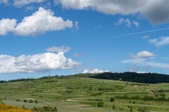 BZ-20210522-fewolay.de-cAMHau-0276cMartin-Hau