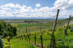 BZ-20210522-fewolay.de-cAMHau-0277cMartin-Hau