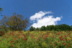 BZ-20210522-fewolay.de-cAMHau-0292cMartin-Hau