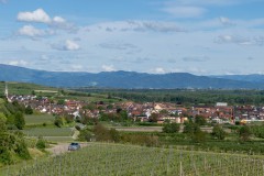 BZ-20210522-fewolay.de-cAMHau-0294cMartin-Hau