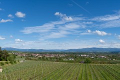 BZ-20210522-fewolay.de-cAMHau-0295cMartin-Hau